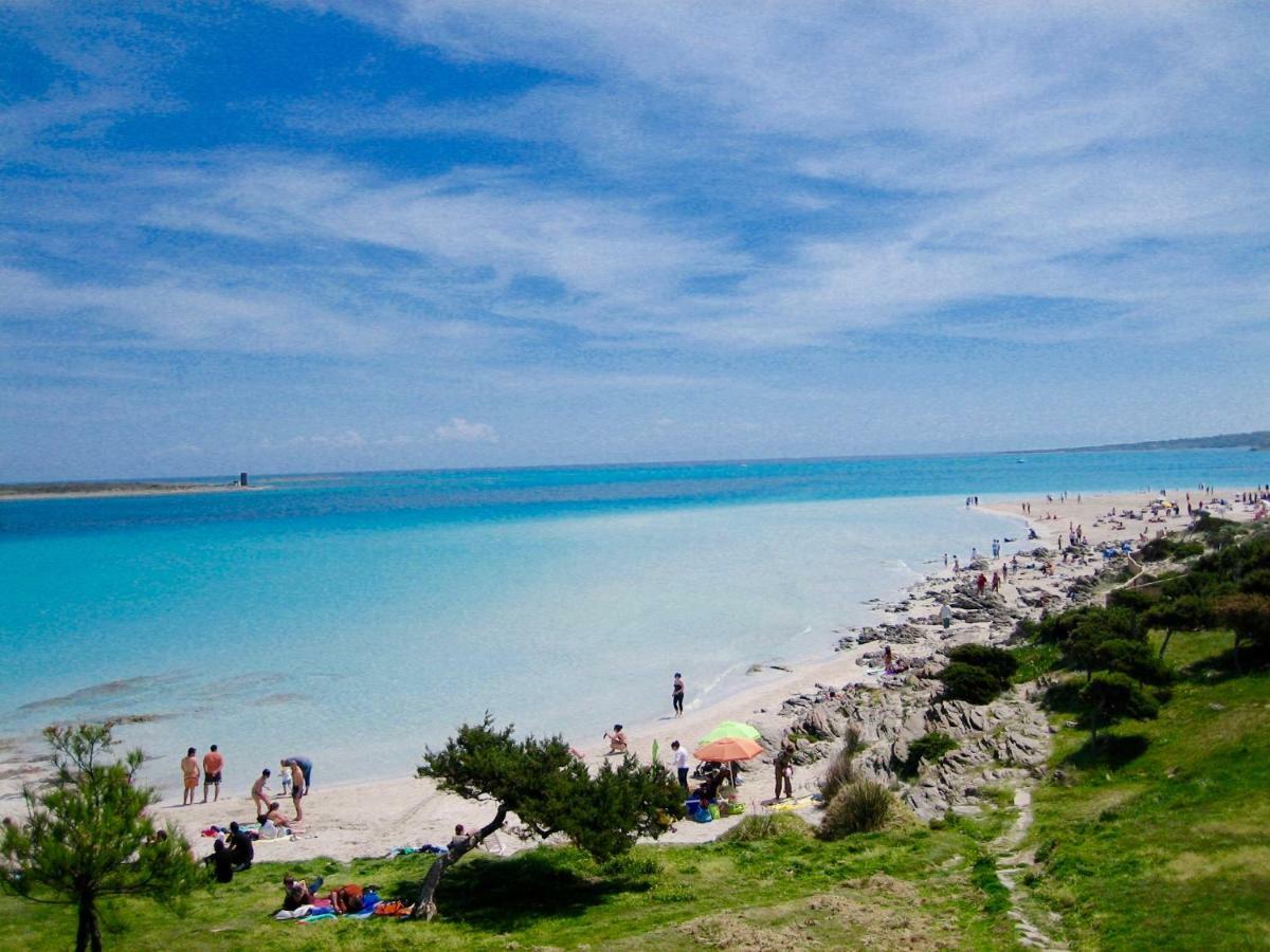 Apartament Victoria 150Mt From Beach Кастелсардо Екстериор снимка